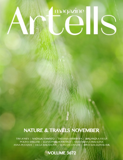 ARTELLS MAGAZINE - NATURE & TRAVELS NOVEMBER (Vol 3672), page 1