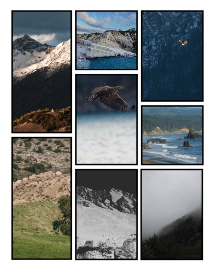 ARTEGO MAGAZINE - NATURE & TRAVELS FEBRUARY ISSUE 1210, page 3