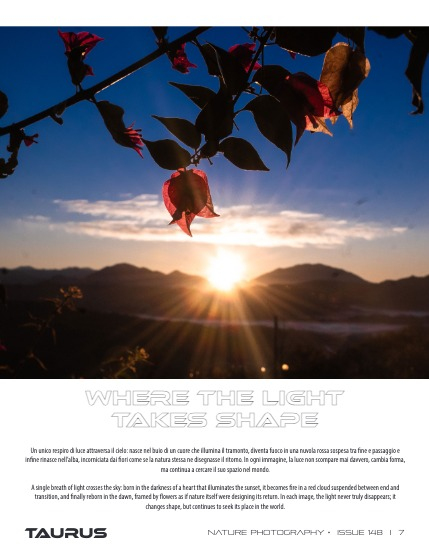 Nature#148, page 7