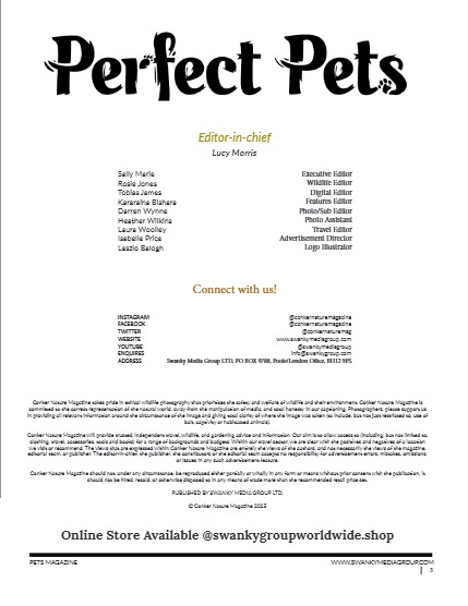 Perfect Pets Magazine - June/July 2025: The Pet Pals Issue, page 3
