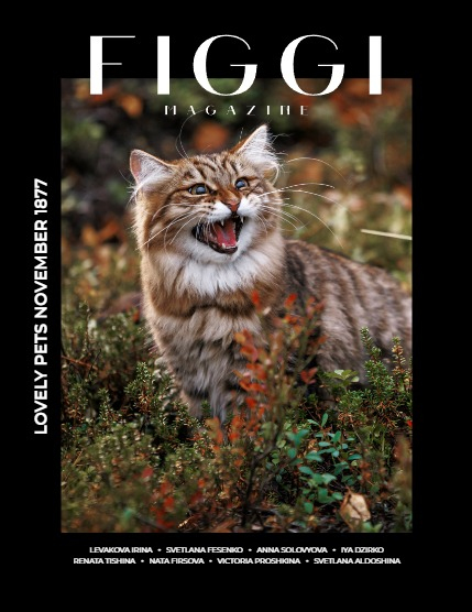 FIGGI MAGAZINE - LOVELY PETS NOVEMBER (Vol 1877), page 1