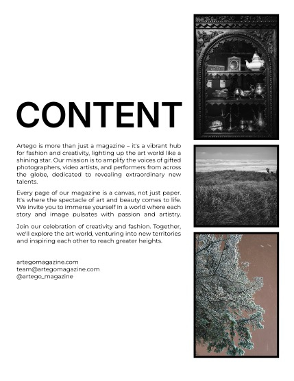 ARTEGO MAGAZINE - NATURE & TRAVELS DECEMBER ISSUE 1152, page 2