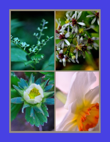 Bold & Beyond Nature (Issue 552 September 2025), page 3