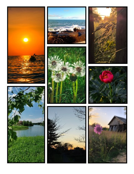 ARTEGO MAGAZINE - NATURE & TRAVELS JULY ISSUE 930, page 3