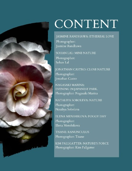 Bold & Beyond Nature (Issue 418 July 2025), page 2