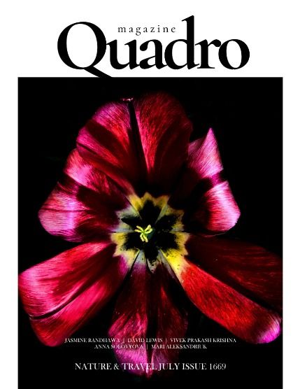 Квадро, журнал. Природа и путешествия, июль, выпуск 1669 (QUADRO MAGAZINE - NATURE & TRAVEL JULY (Vol 1669)), page 1