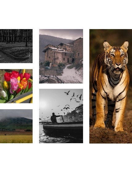 FIGGI MAGAZINE - NATURE & TRAVEL APRIL (Vol 1483), page 2