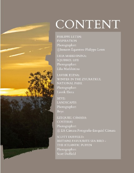 Bold & Beyond Nature (Issue 403 July 2025), page 2