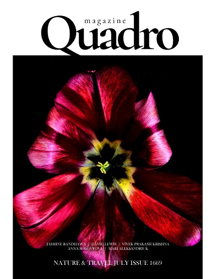 QUADRO MAGAZINE - NATURE & TRAVEL JULY (Vol 1669), page 1