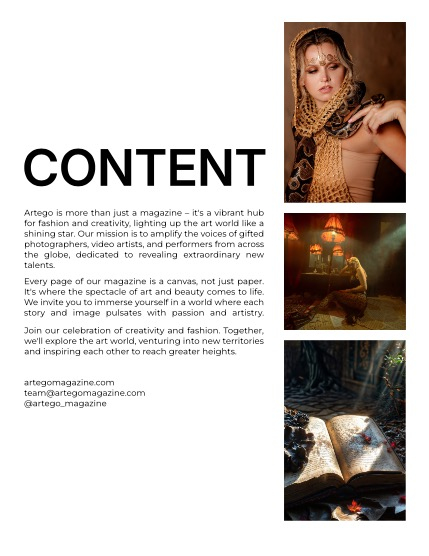 ARTEGO MAGAZINE - FANTASY FEBRUARY ISSUE 671, page 2