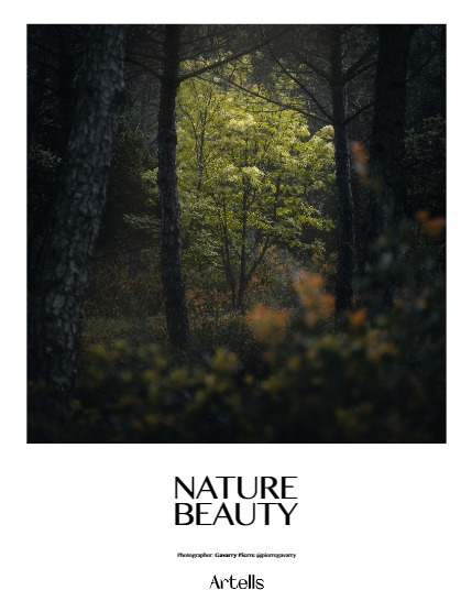 ARTELLS MAGAZINE - NATURE & TRAVELS MAY (Vol 3176), page 4