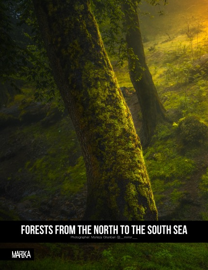 MARIKA MAGAZINE NATURE & TRAVELS (ISSUE 5680 - MAY), page 4