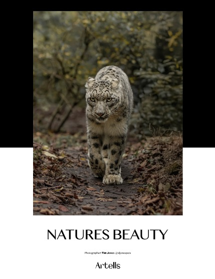 ARTELLS MAGAZINE - NATURE & TRAVELS NOVEMBER (Vol 3699), page 4
