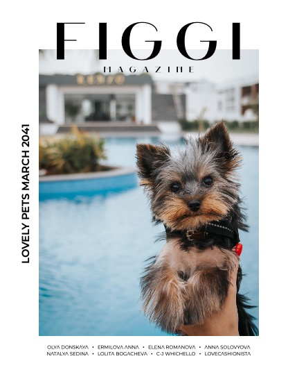 FIGGI MAGAZINE - LOVELY PETS MARCH (Vol 2041), page 1