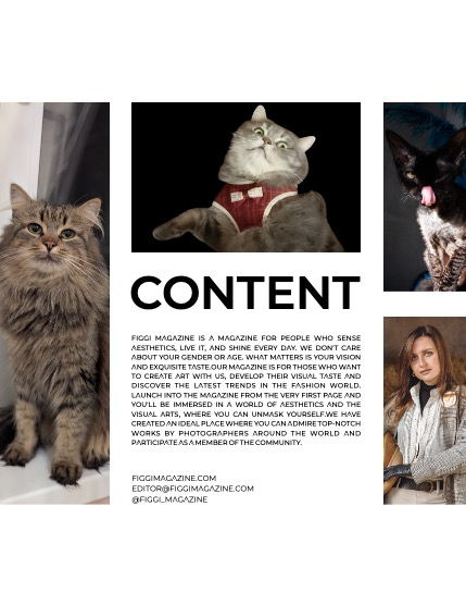 FIGGI MAGAZINE - LOVELY PETS FEBRUARY (Vol 1391), page 3