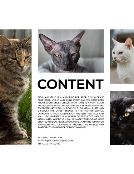 FIGGI MAGAZINE - LOVELY PETS APRIL (Vol 1486), page 3