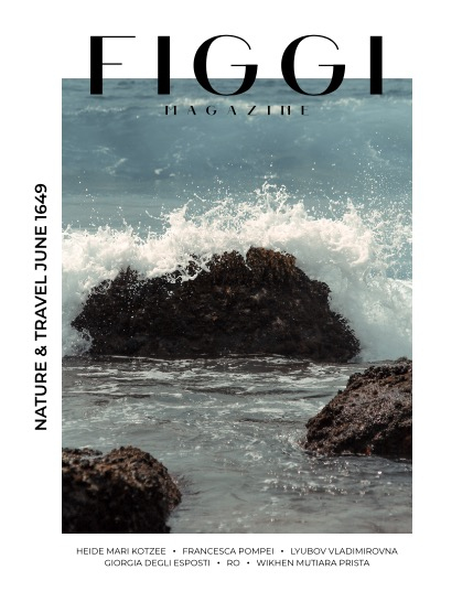 FIGGI MAGAZINE - NATURE & TRAVEL JUNE (Vol 1649), page 1
