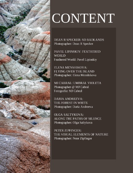 Bold & Beyond Nature (Issue 707 January 2026), page 2