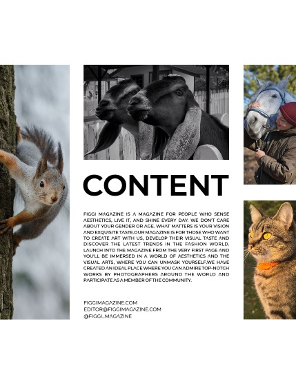 FIGGI MAGAZINE - LOVELY PETS DECEMBER (Vol 1287), page 3