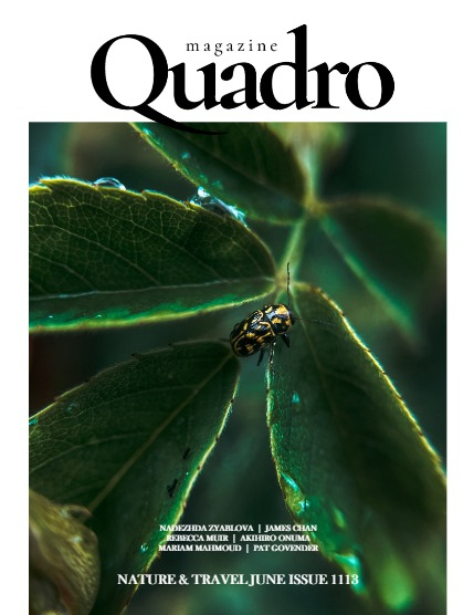 QUADRO MAGAZINE - NATURE & TRAVEL JUNE (Vol 1113), page 1