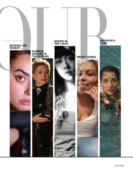 VIGOUR MAGAZINE OPEN THEME | June 2025 | Issue 02, page 3
