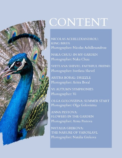 Bold & Beyond Nature (Issue 371 July 2025), page 2