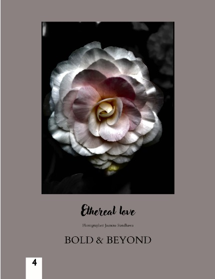 Bold & Beyond Nature (Issue 418 July 2025), page 4