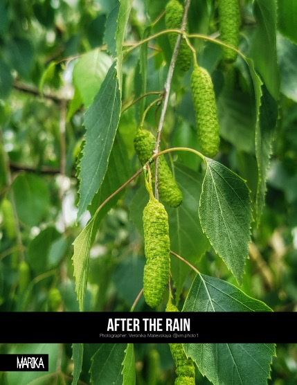 MARIKA MAGAZINE NATURE & TRAVELS (ISSUE 5800 - JULY), page 4