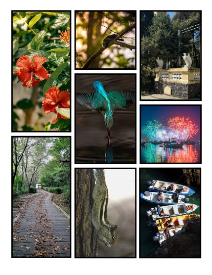 ARTEGO MAGAZINE - NATURE & TRAVELS OCTOBER ISSUE 1073, page 3