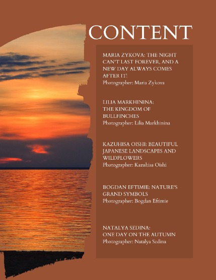 Bold & Beyond Nature (Issue 644 December 2025), page 2