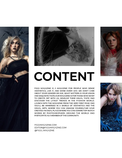 FIGGI MAGAZINE - FANTASY & AI JANUARY (Vol 1351), page 3