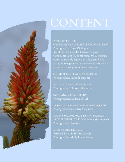 Bold & Beyond Nature (Issue 369 July 2025), page 2