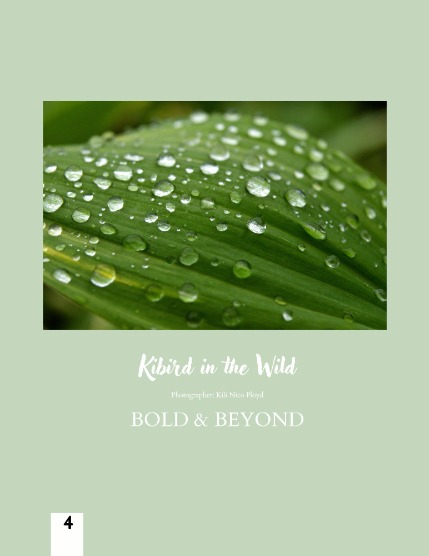 Bold & Beyond Nature (Issue 552 September 2025), page 4