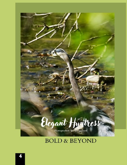 Bold & Beyond Nature (Issue 375 July 2025), page 4