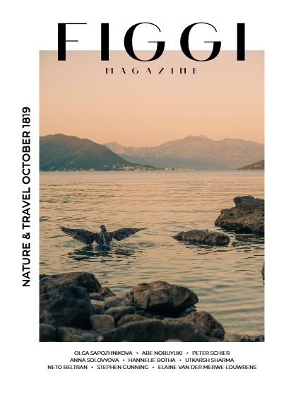 FIGGI MAGAZINE - NATURE & TRAVEL OCTOBER (Vol 1819), page 1