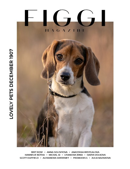 FIGGI MAGAZINE - MEN DECEMBER (Vol 1907), page 1