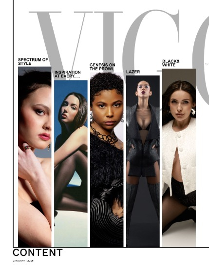 VIGOUR MAGAZINE OPEN THEME | January 2025 | Issue 01, page 2