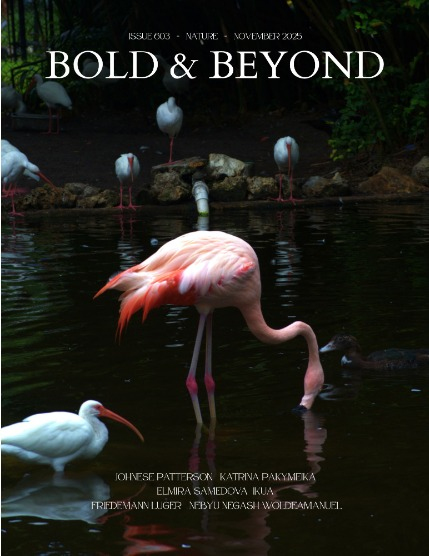 Bold & Beyond Nature (Issue 603 November 2025), page 1