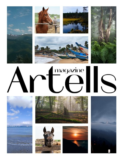 ARTELLS MAGAZINE - NATURE & TRAVELS FEBRUARY (Vol 3854), page 2
