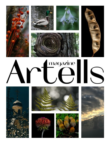 ARTELLS MAGAZINE - NATURE & TRAVELS FEBRUARY (Vol 3857), page 2