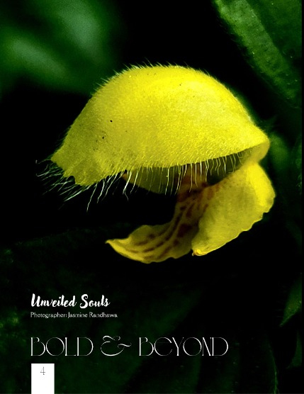 Bold & Beyond Nature (Issue 352 June 2025), page 4