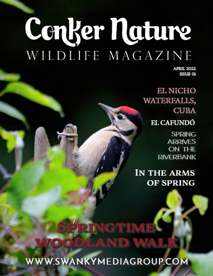 Conker Nature Magazine - April 2025: The Wildlife Edition, page 1