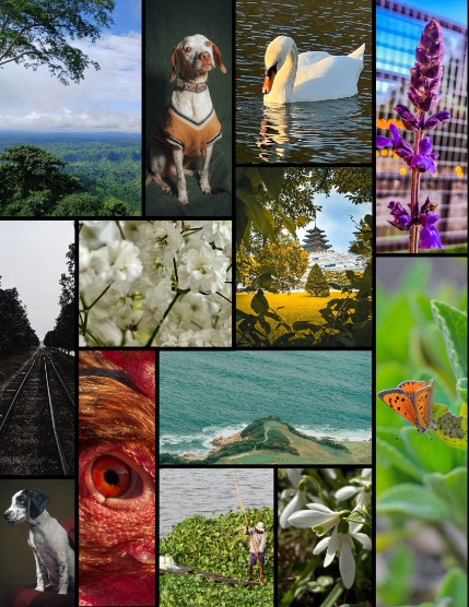 MARIKA MAGAZINE NATURE & TRAVELS (ISSUE 5626 - APRIL), page 3