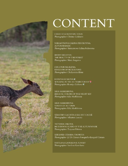 Bold & Beyond Nature (Issue 558 September 2025), page 2