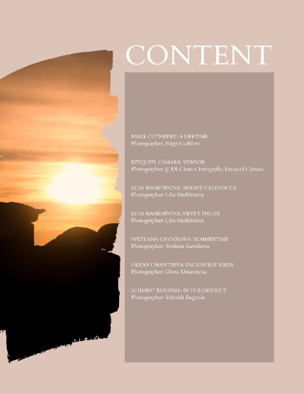 Bold & Beyond Nature (Issue 564 October 2025), page 2