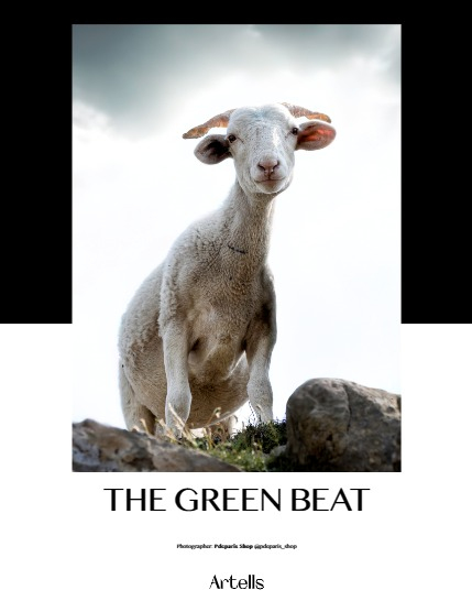 ARTELLS MAGAZINE - NATURE & TRAVELS OCTOBER (Vol 3625), page 4