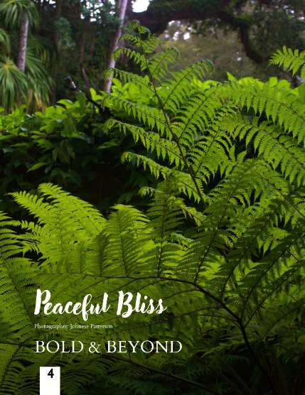 Bold & Beyond Nature (Issue 603 November 2025), page 4