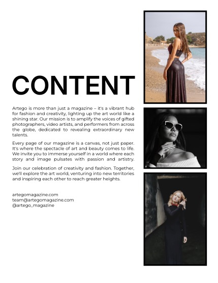ARTEGO MAGAZINE - PORTRAIT JANUARY ISSUE 1205, page 2