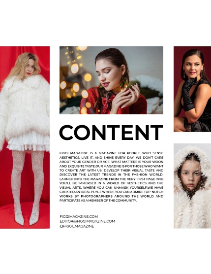 FIGGI MAGAZINE - CHRISTMAS JANUARY (Vol 1335), page 3