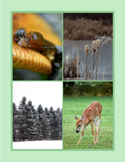 Bold & Beyond Nature (Issue 299 May 2025), page 3